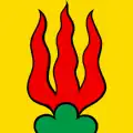 Flag of Schwaderloch