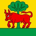 Flag of Souboz