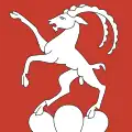 Flag of Steinmaur