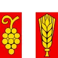 Flag of Tägertschi