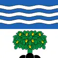 Flag of Tannay