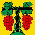 Flag of Tartegnin