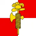 Flag of Tolochenaz
