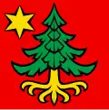 Flag of Trachselwald