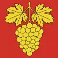 Flag of Truttikon