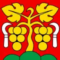 Flag of Twann
