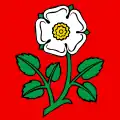Flag of Uznach