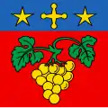 Flag of Vétroz