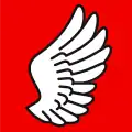 Flag of Vechigen