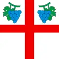 Flag of Verscio