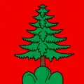 Flag of Veysonnaz