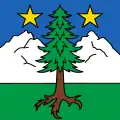 Flag of Vollèges