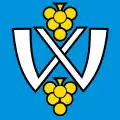 Flag of Walperswil