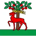 Flag of Walzenhausen