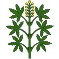 Flag of Wangen-Brüttisellen