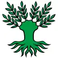 Flag of Widen