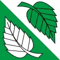 Flag of Wiler bei Utzenstorf