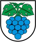 Coat of arms of Wynau