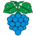 Flag of Wynau
