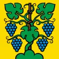 Flag of Zeiningen