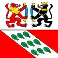 Flag of Zollikofen