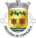 Coat of arms of Chamusca