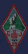 Insignia of CJF 29 - Team 2.