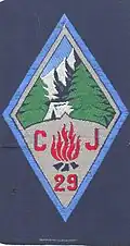 Insignia of CJF 29 - Team 1.