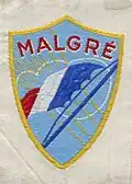 Insignia of CJF 23 (first model).