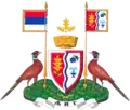 Ljig