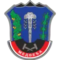 Coat of Arms of Medveđa