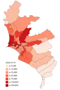 Confirmed cases in districts of Lima and Callao.