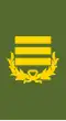 Colonel