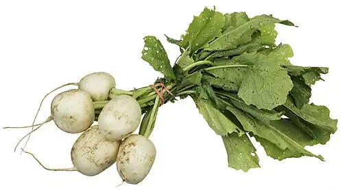 A bundle of Tokyo turnips
