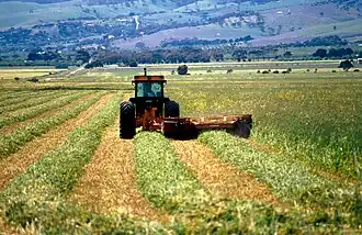 Cutting hay near Aldinga, south of Adelaide in South Australia, 1992