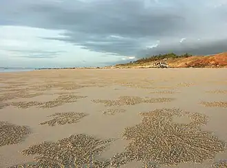 Cable Beach at low tide