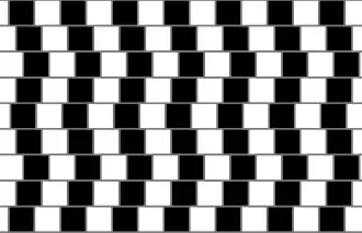 Café wall illusion: the parallel horizontal lines in this image appear sloped.