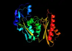 Image of the beta subunit in caffeine dehydrogenase