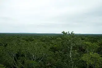 Calakmul Biosphere Reserve