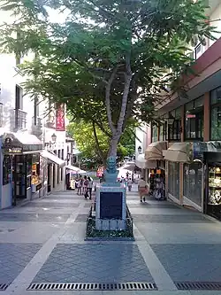 Quintana Street