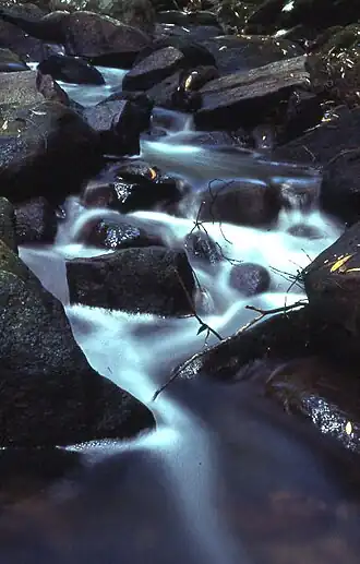 Cascades along Calna Creek