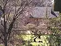 Back garden, including orchard