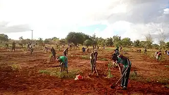 File:CaltivatingLand.jpg