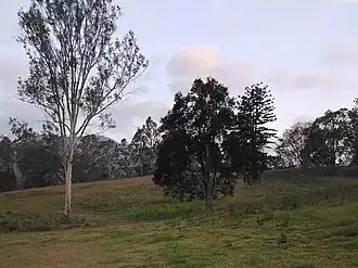 Cambroon, 2019