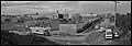 Industry in Camellia