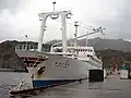 Camelia Maru