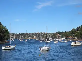 Cammeray from Willoughby Bay