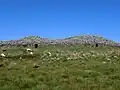 Camster Cairns.