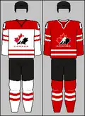 IIHF jerseys 2008-2014, 2016