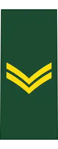 Corporal (French: Caporal) (Canadian Army)[42]
